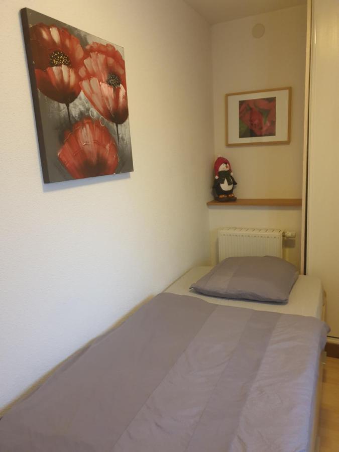Appartement Proche D'Europa Park/Marches De Noel Rhinau Exteriér fotografie