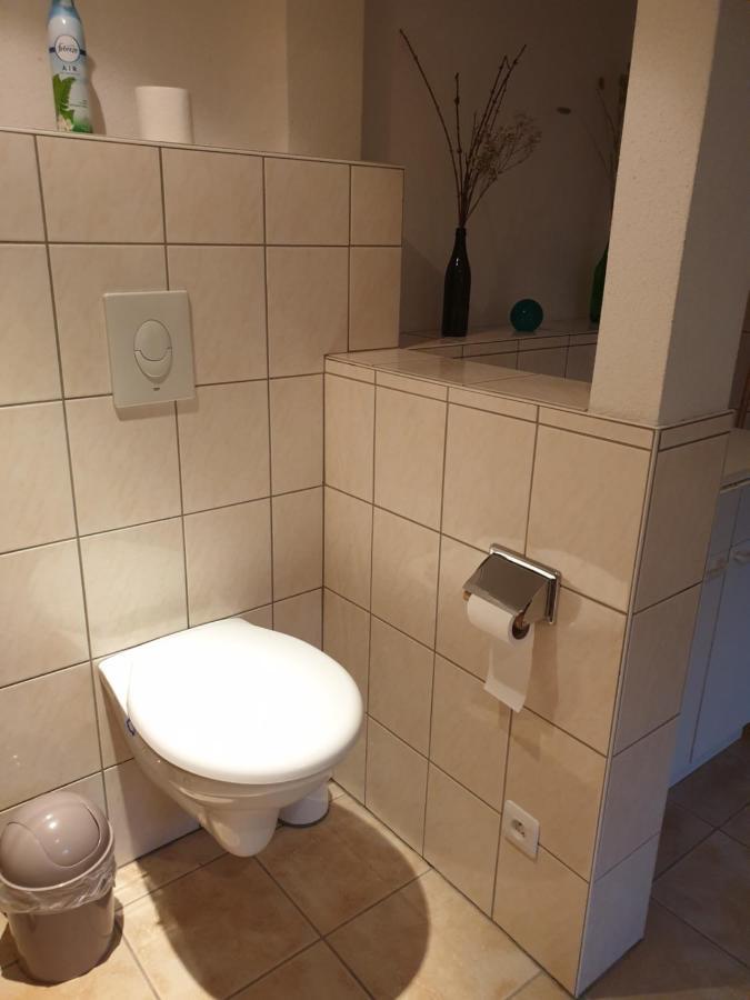 Appartement Proche D'Europa Park/Marches De Noel Rhinau Exteriér fotografie