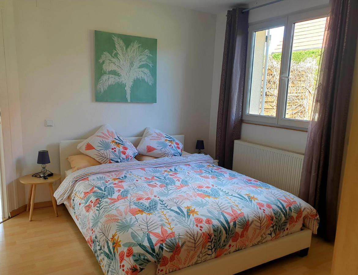 Appartement Proche D'Europa Park/Marches De Noel Rhinau Exteriér fotografie